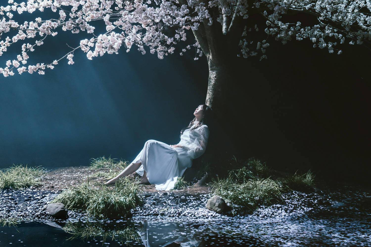 春はゆく / marie 【初回生産限定盤】(+DVD) : Aimer